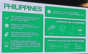 PANDAIGDIGANG KALAGAYAN NG ADAPSYON NG BIOTECH CROPS SA PILIPINAS